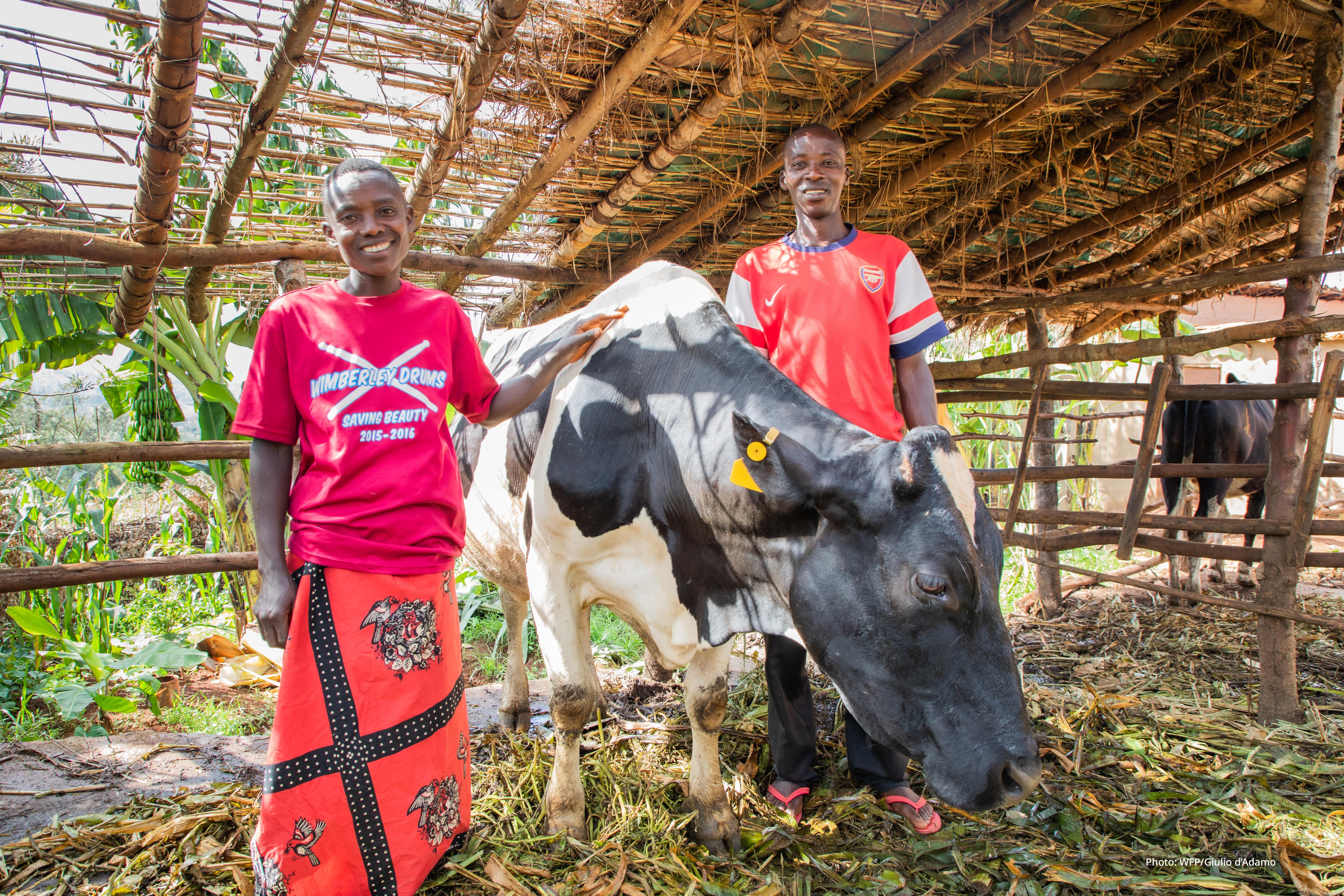 Kerry partners with World Food Programme