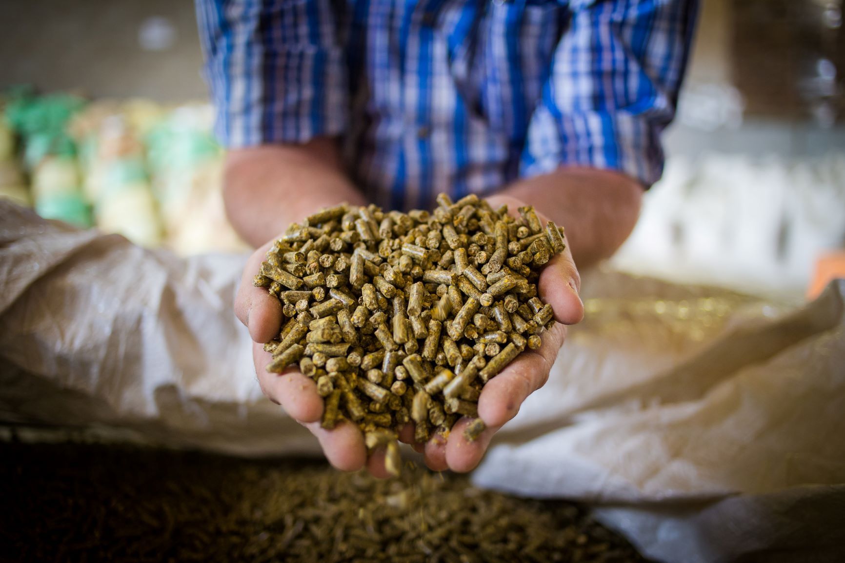 Antibiotic alternatives stimulate NPD in animal feed ingredient market