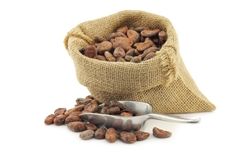 Olam reaches Cocoa Compass targets for 100% child labour and deforestation monitoring