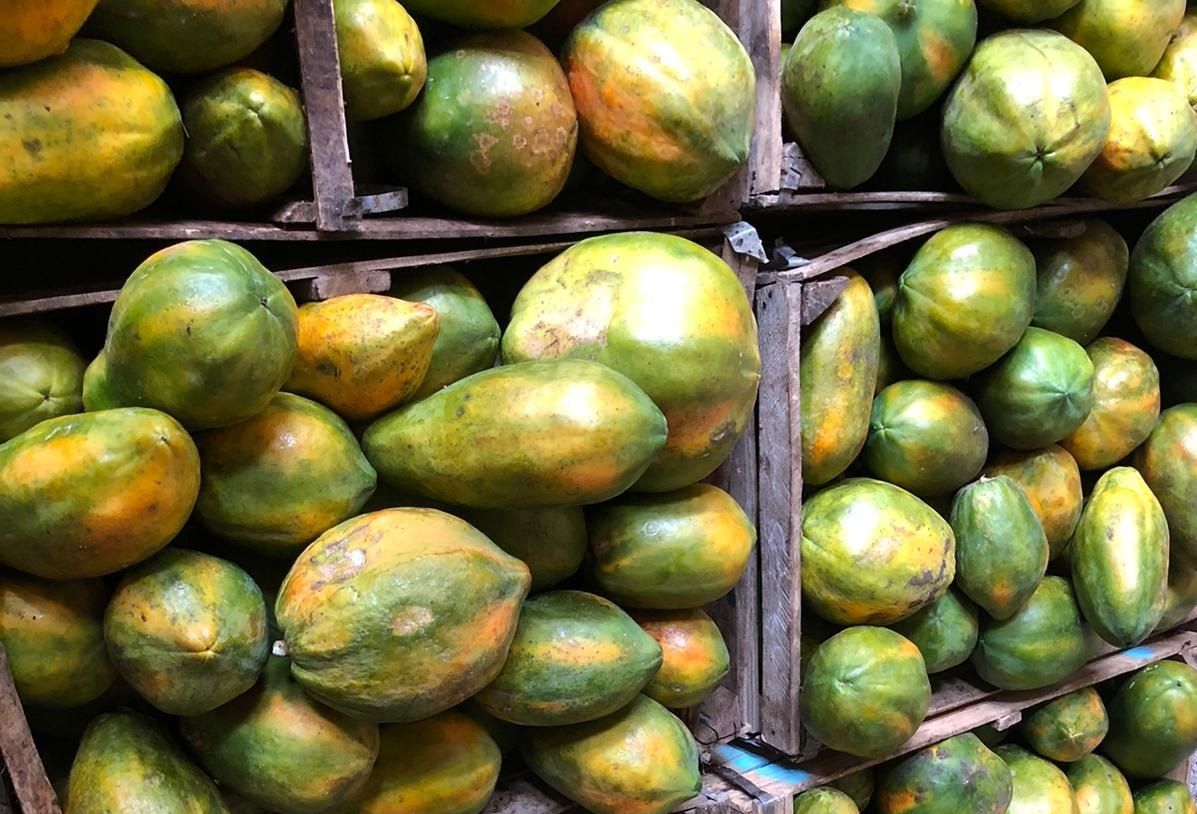 New partnership will reduce malnutrition with a dried papaya snack