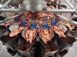 Complete packing line solution for langoustines