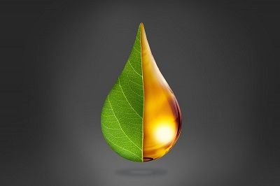 Covestro supports climate targets of the auto industry