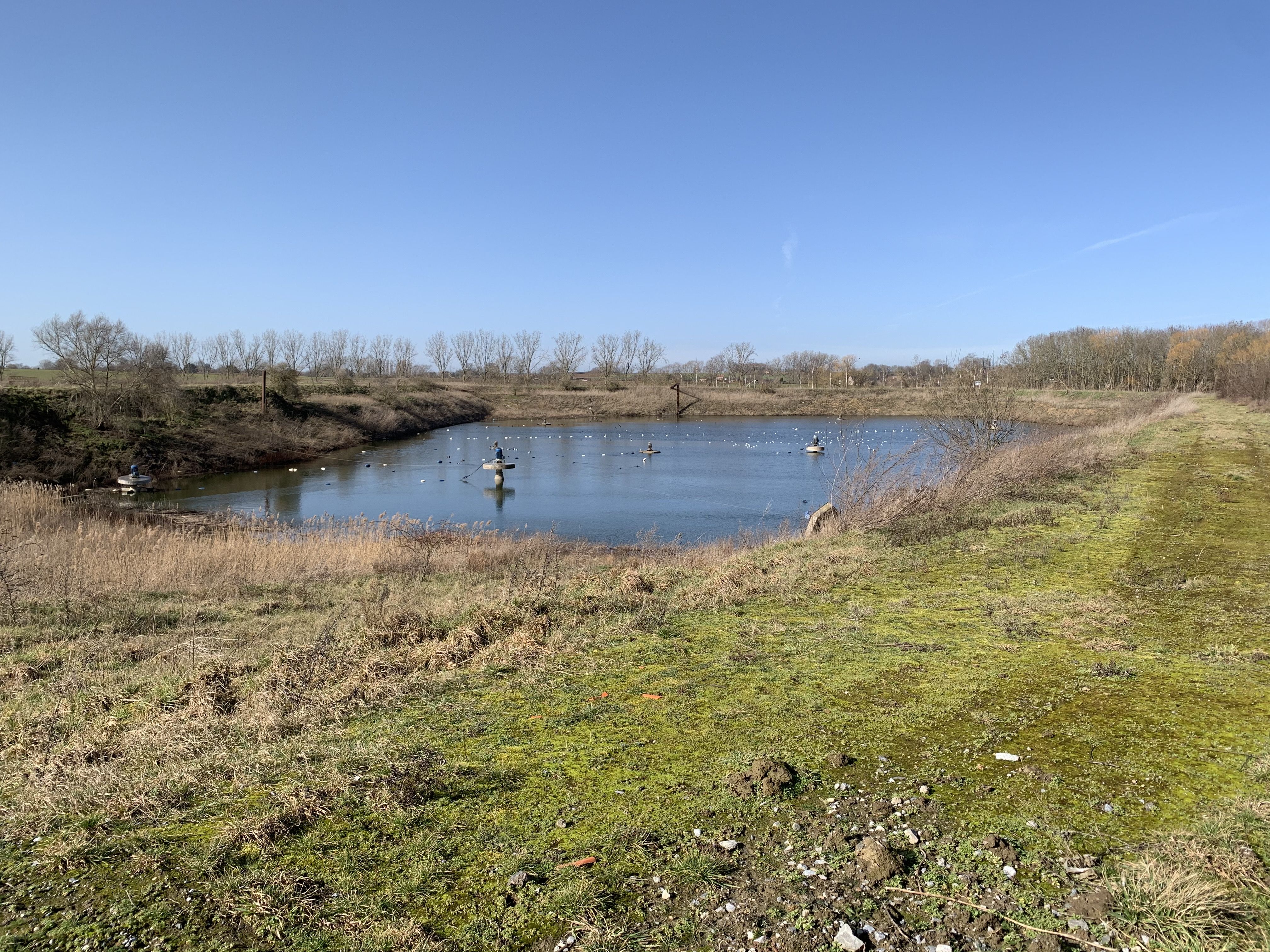 BENEO transforms settling pond into wildlife haven