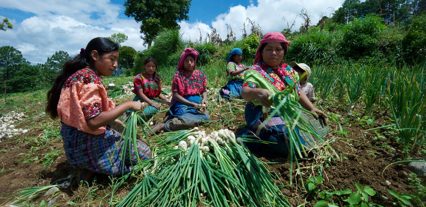 IFAD: Global food systems must be disrupted and changed