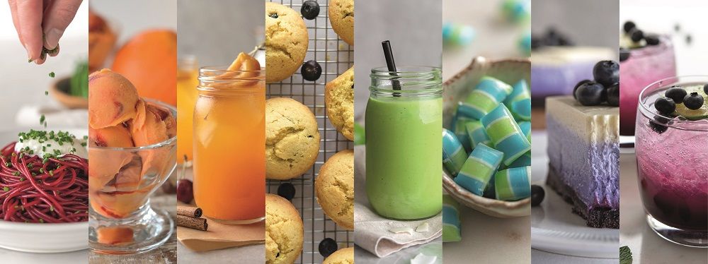 GNT shares research on colours for food and beverage