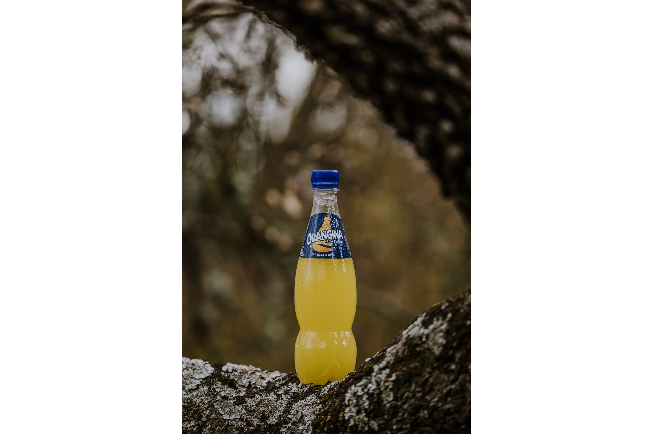 Suntory introduces 100% plant-based PET bottle prototypes