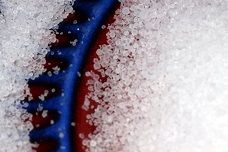 IFBA members to reduce sodium in their manufactured foods