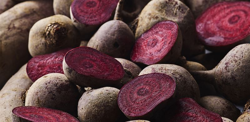 Oterra acquires Diana Foods natural colouring business