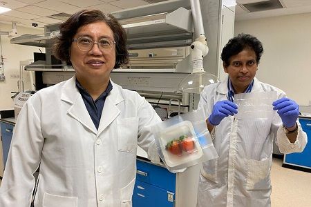Bacteria-killing packaging keeps food fresh