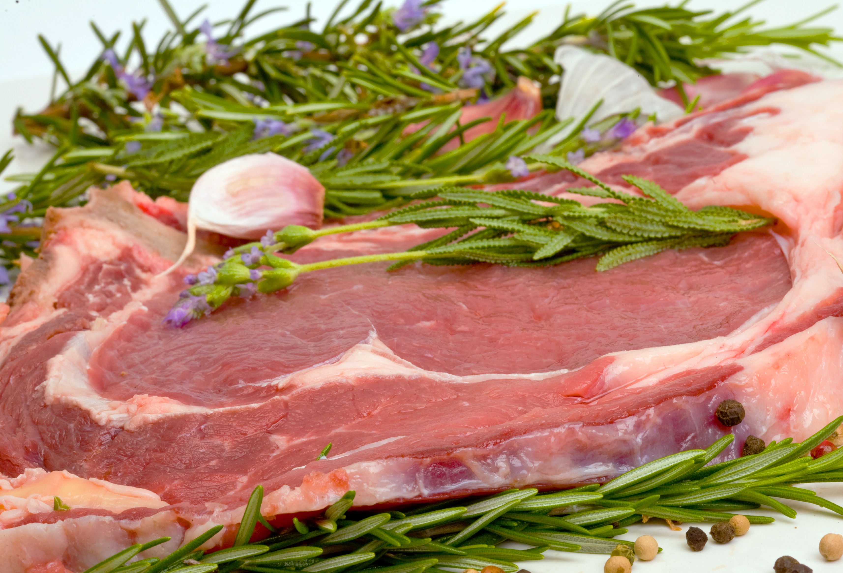 Meat extracts go beyond just flavouring