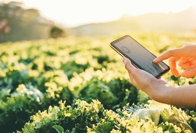 Bio-based polyamides with low water absorption