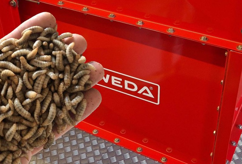 WEDA feeding system supplied to Europe's largest insect breeding facility