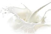 Remilk secures self-affirmed GRAS for non-animal, real dairy protein