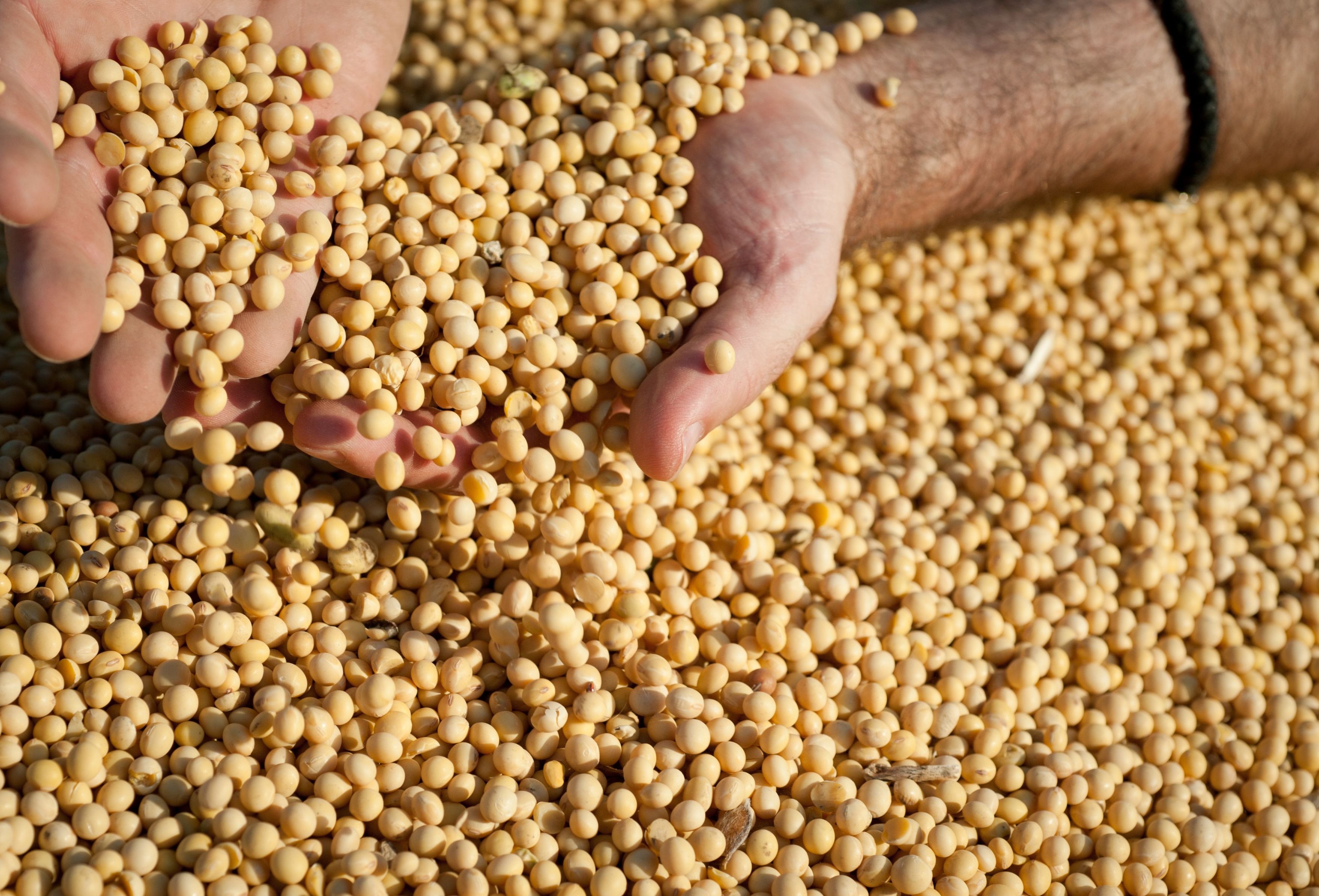 Bayer and ADM to build and implement a sustainable crop protection model for soybean farmers