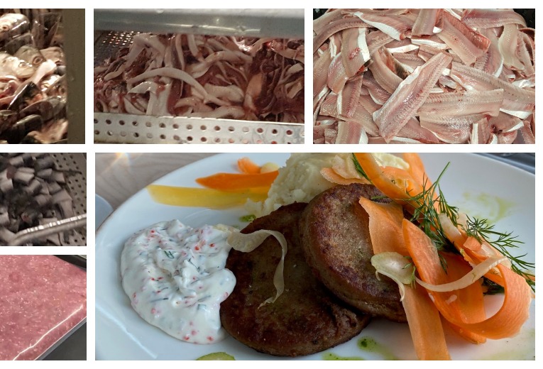 Developing healthy seafood with innovative sorting technology