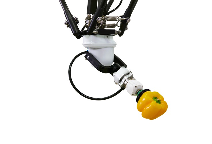 ABB offers five axis robot for lightweight product picking, packing