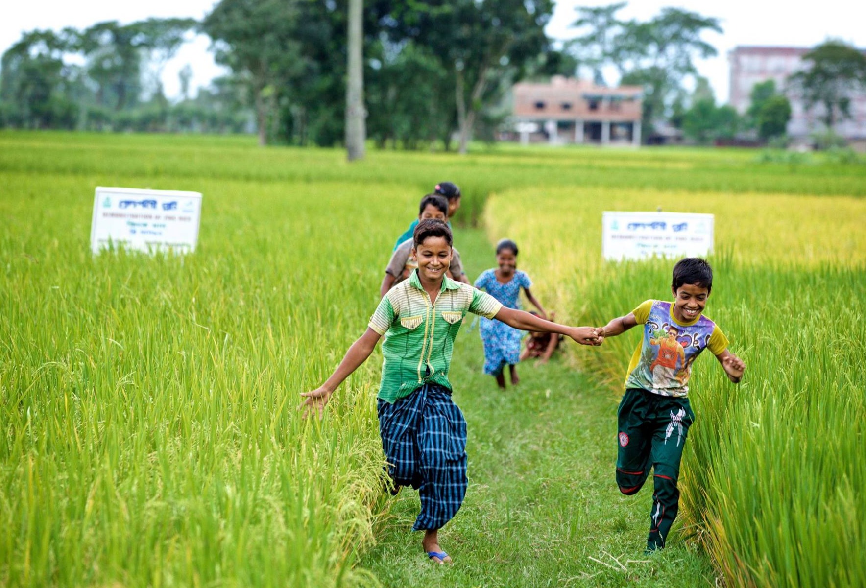 Solving nutrition deficiencies with biofortified food