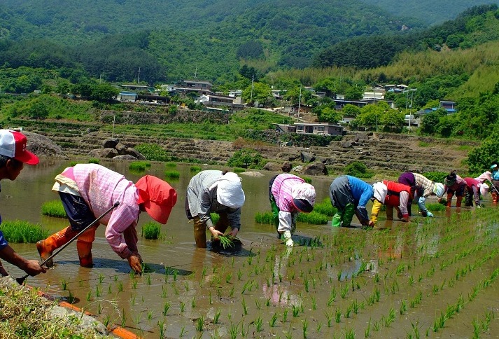 Consumers now more concerned over climate change and food shortages