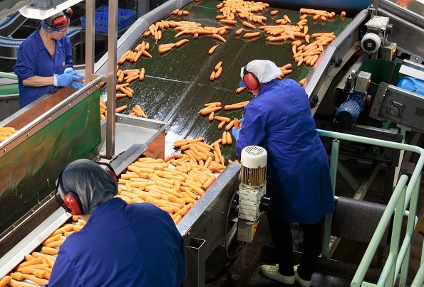 Heat exchanger helps produce carrot powder at Huntapac