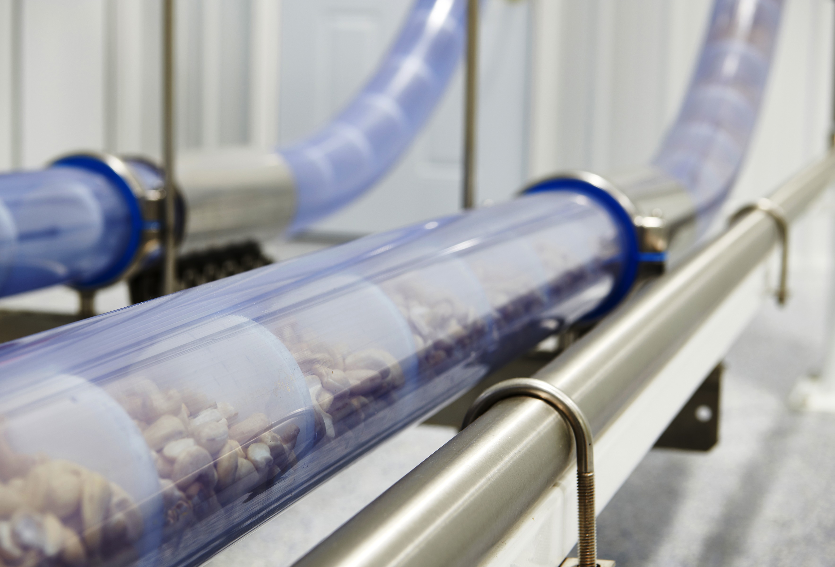 Protect against recalls with the right conveyor system