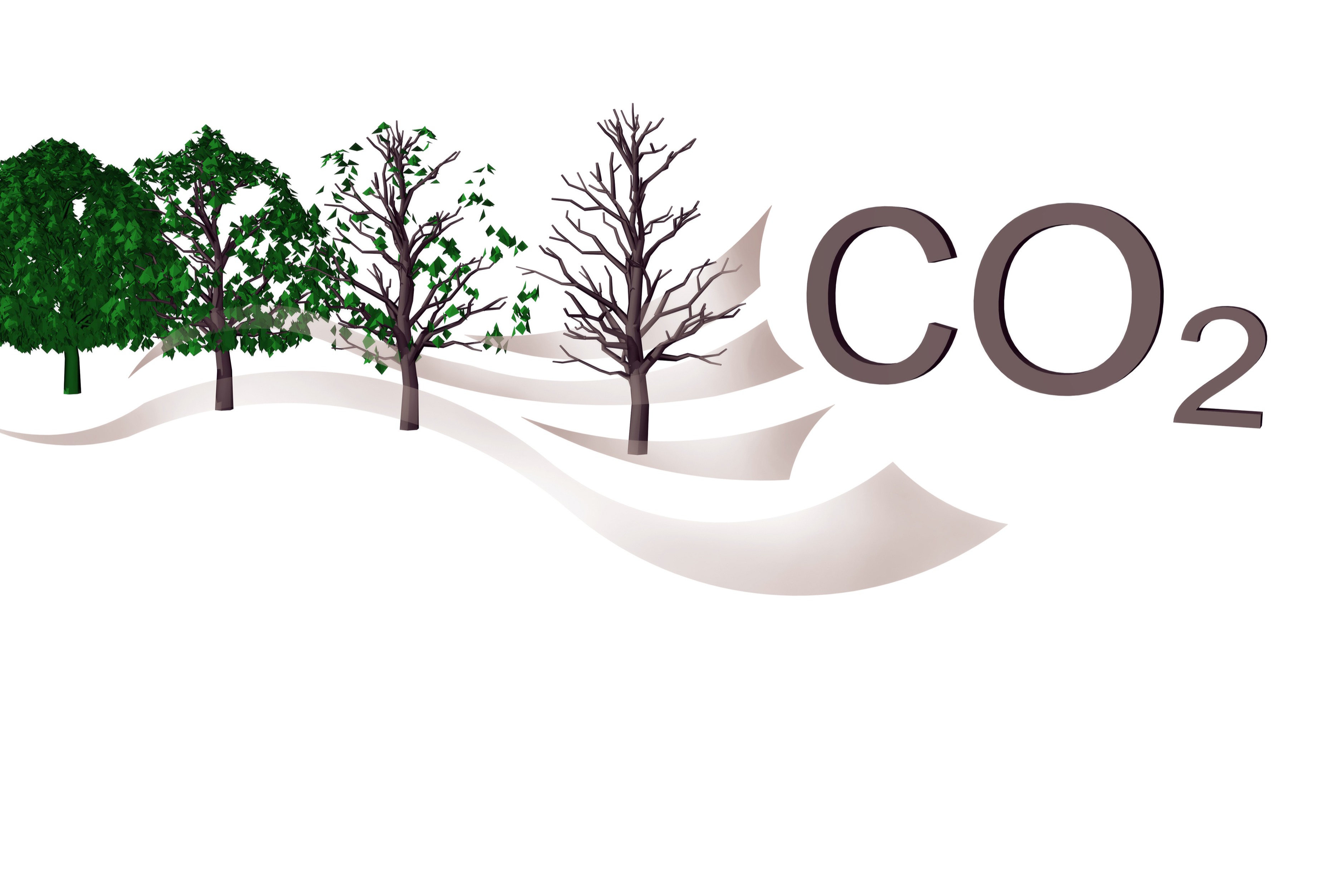 Corbion speeds up emission reductions