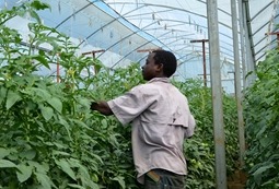 Achieving Zero Hunger in Africa by 2030 within reach