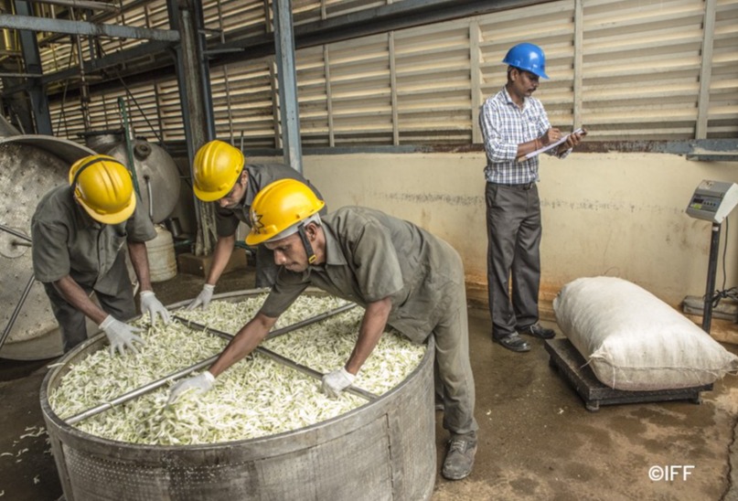 LMR Naturals by IFF pioneers in evaluating carbon footprint of perfumery and flavours natural ingredients