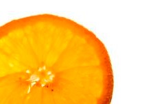 Fiberstar launches organic citrus fibres for food and beverages