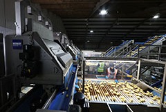Key Technology introduces enhanced optical sorter