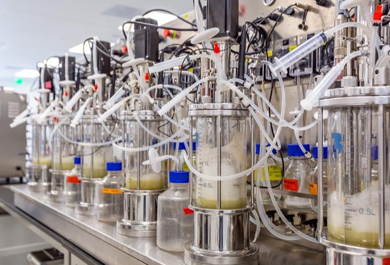 DIC and Debut to produce polyphenols