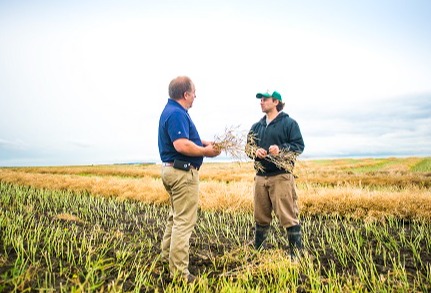 Cargill prepares to meet Asia's growing demand for canola and cottonseed oil