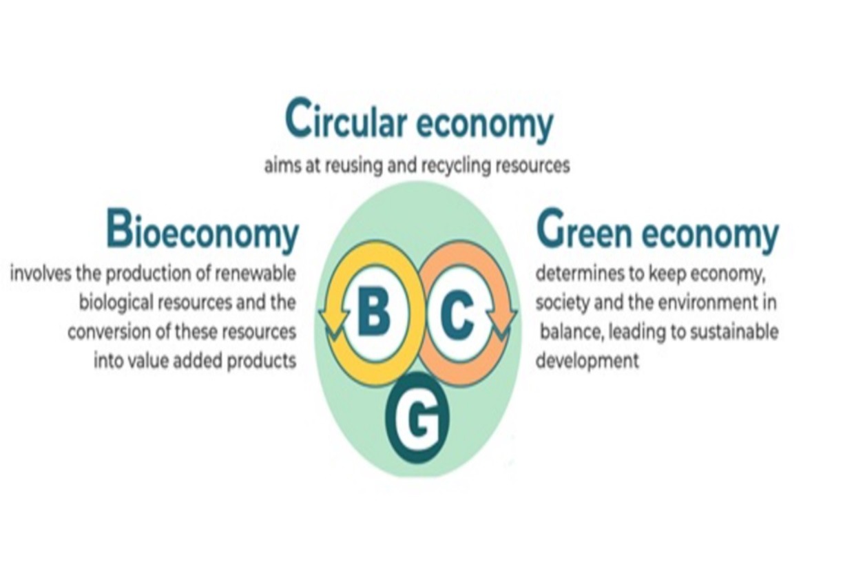 What is the Bio-Circular-Green Economic (BCG) Model?