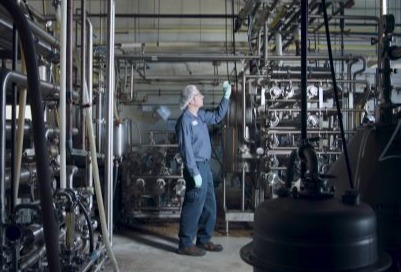 Burcon launches ingredient processing and scale up services
