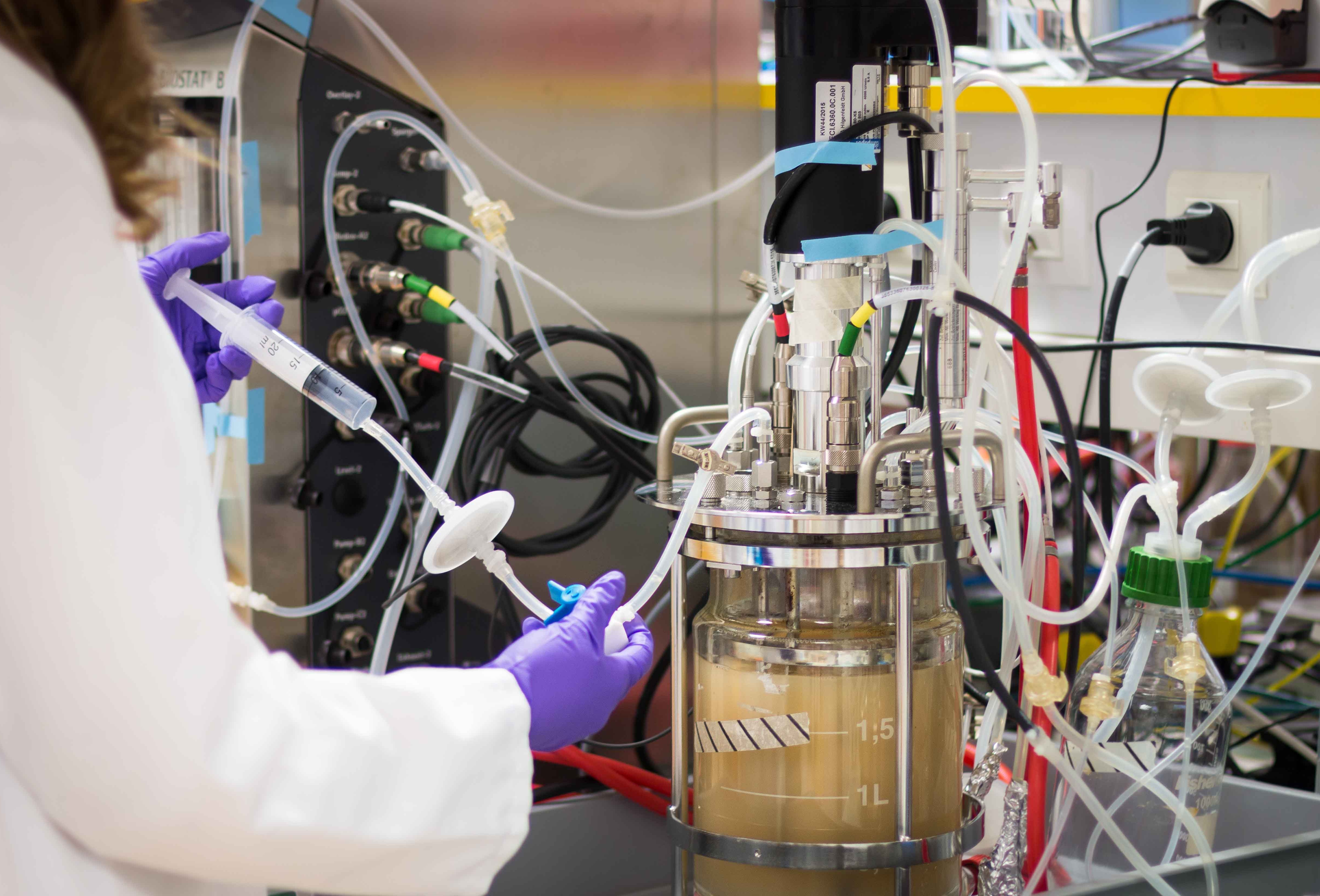 Bio-based thermoplastic elastomer for biopharmaceutical tubing