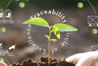 From seed to herbal product: A complex journey