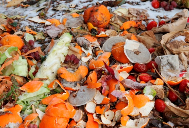 Top tips to reduce food waste during processing