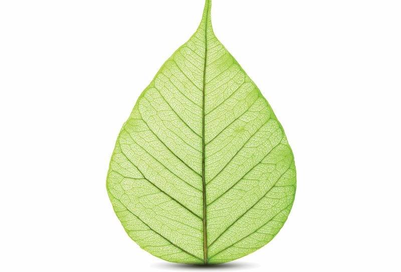 Bio-based PPE feedstocks enable production of sustainable materials
