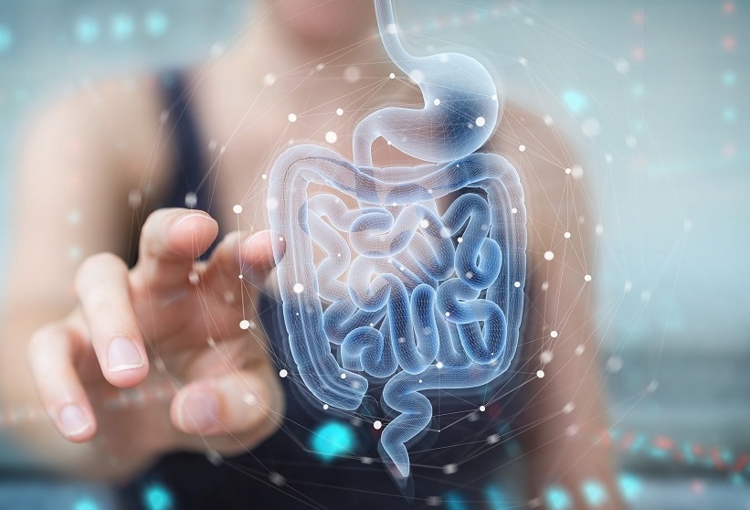 Why taking a long-term approach to health starts with prebiotic chicory root fibres
