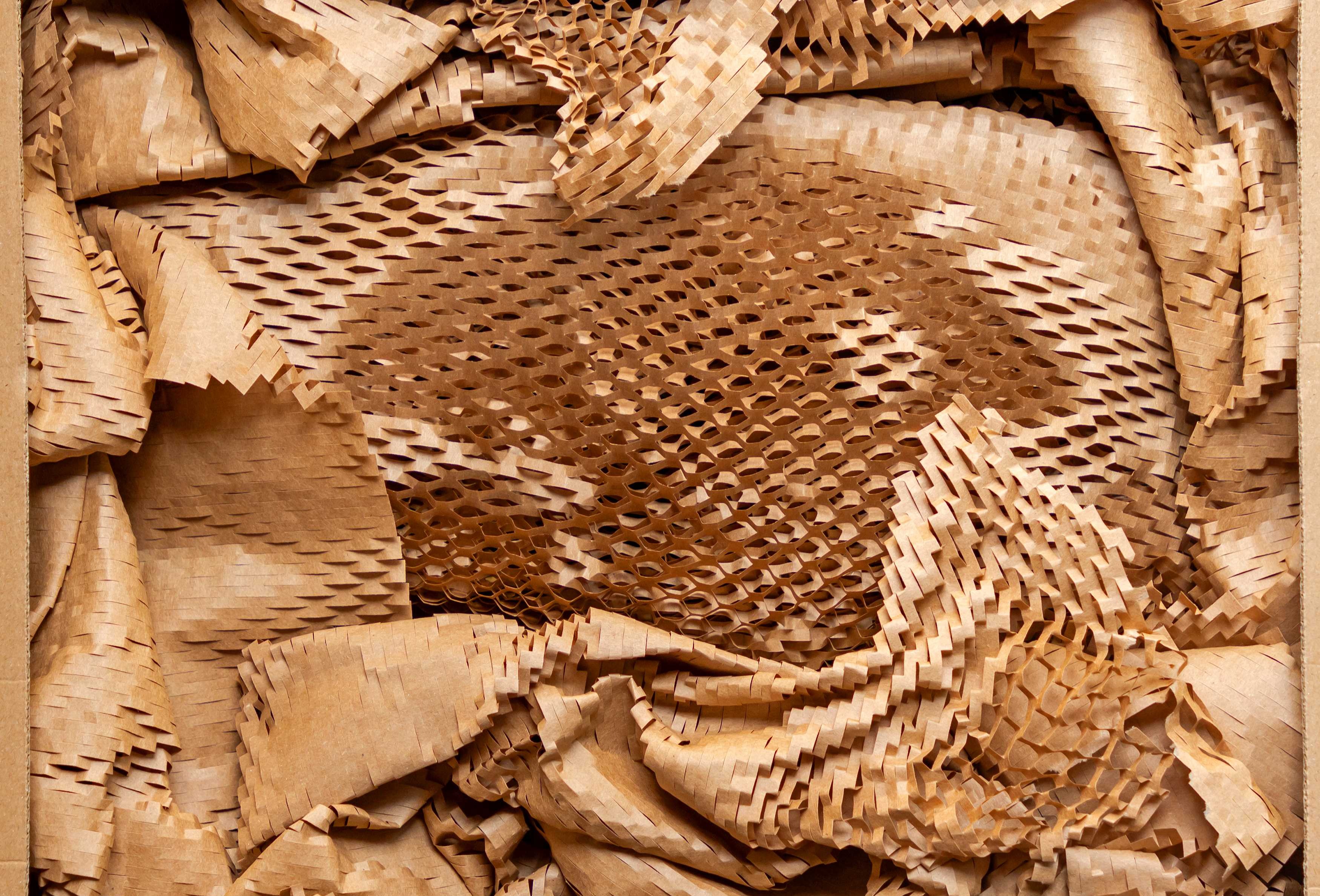 SGS explores the commercial opportunities available to manufacturers of paper-based packaging products