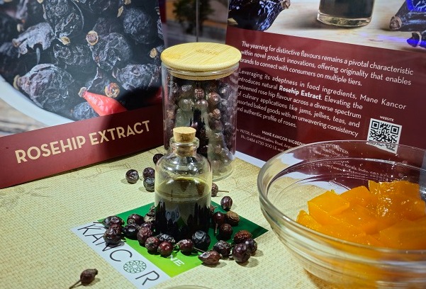 Natural ingredient solutions from Mane Kancor