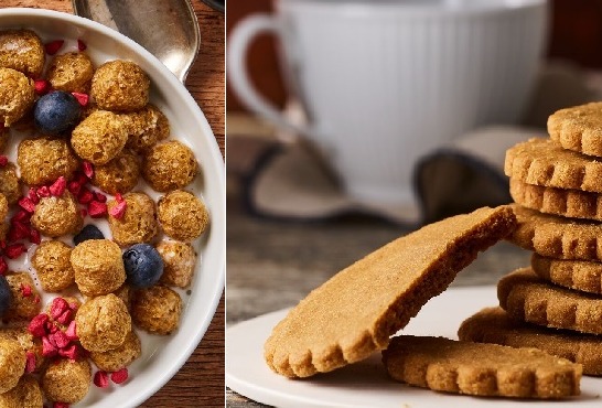 Oterra unveils clean label browns as replacement to caramel