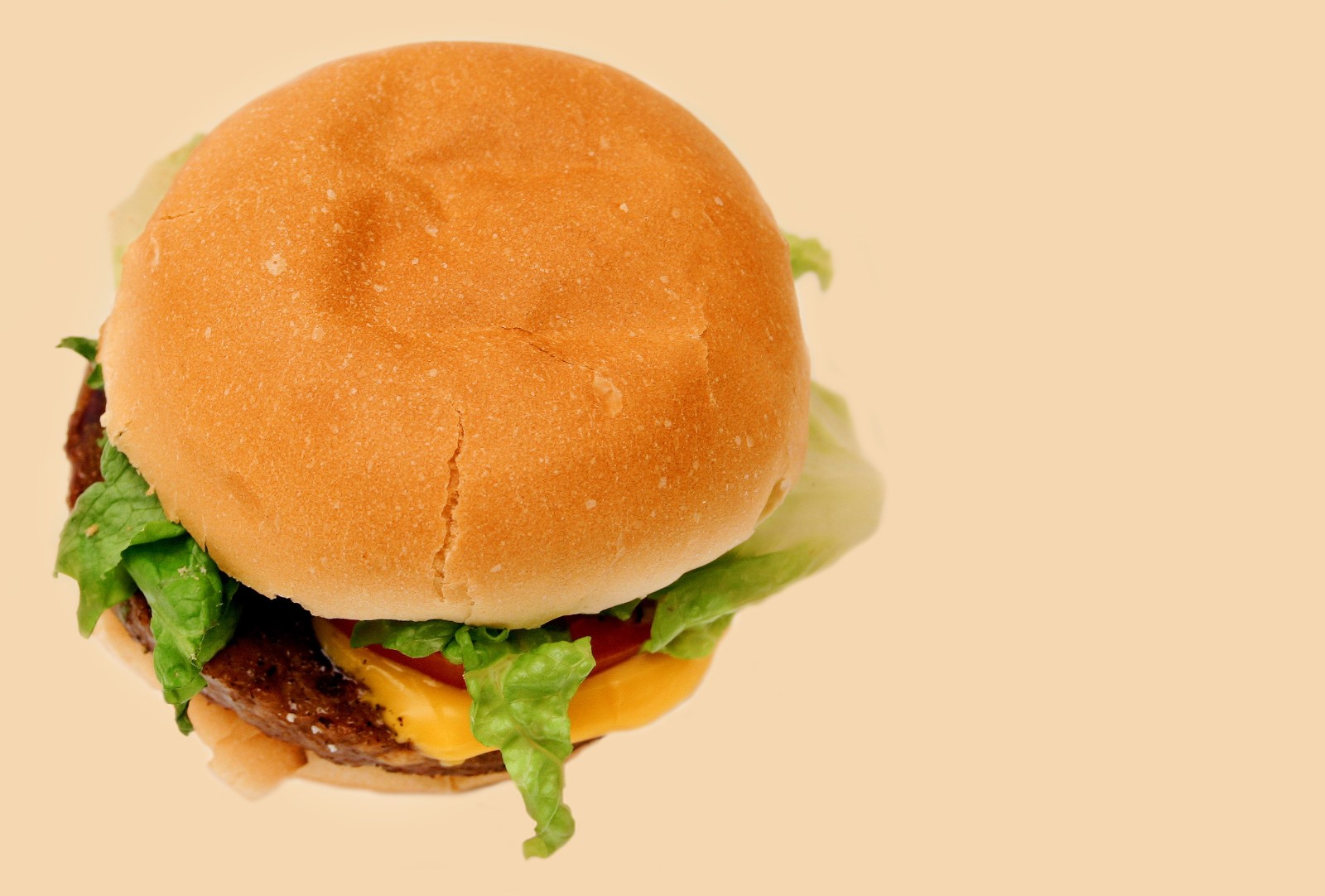 burger - Copy.jpg