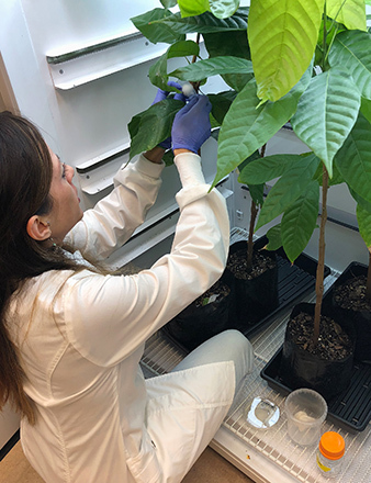 ARS plant pathologist Alina Puig.jpg