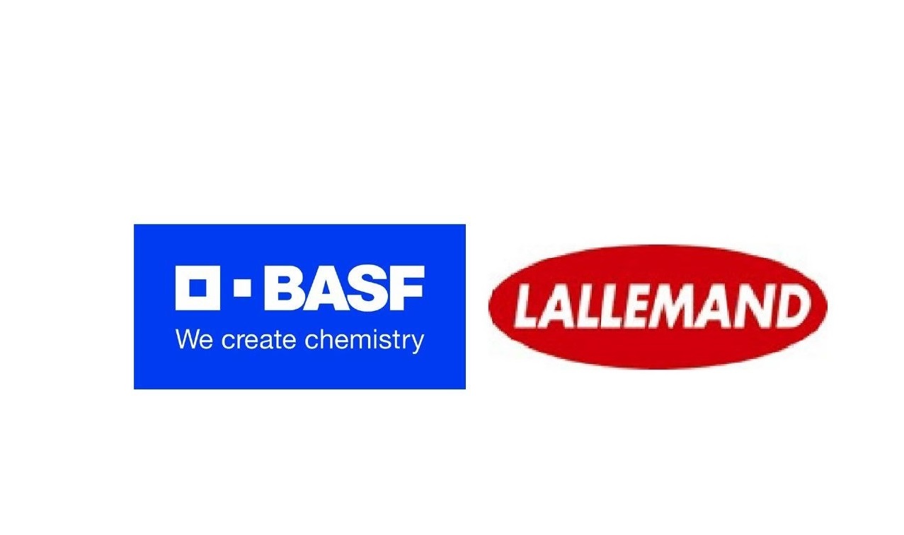 basf and lallemand logos.jpg
