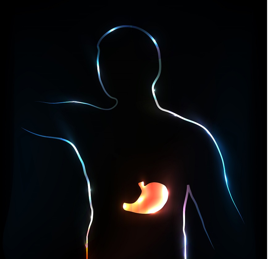 stomach_Guniita_Dreamstime - Copy.jpg