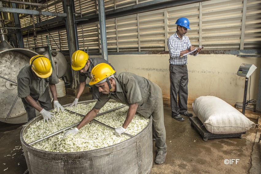 1673834839353584.jpg IFF article_photo credit LMR.jpg