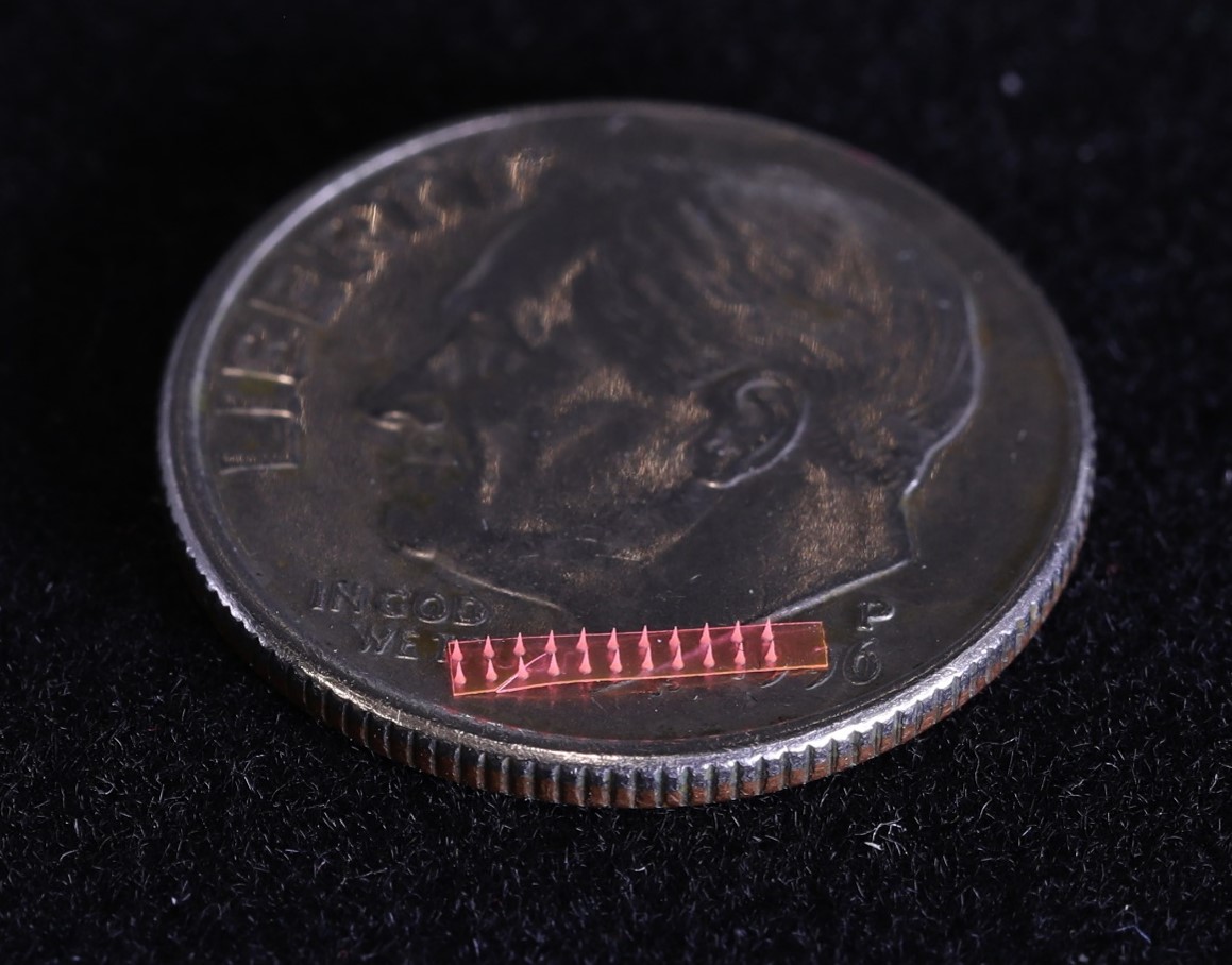 Illustration of a silk microneedle array on a dime coin.jpg