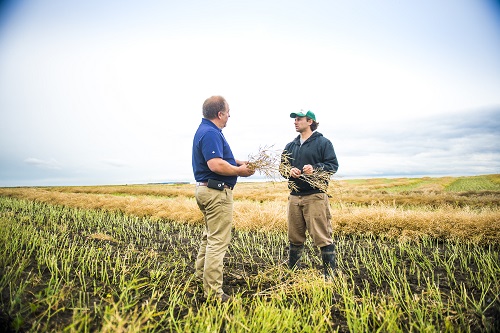 Cargill_YoungGrower30_1682011011470-HR - Copy.jpg