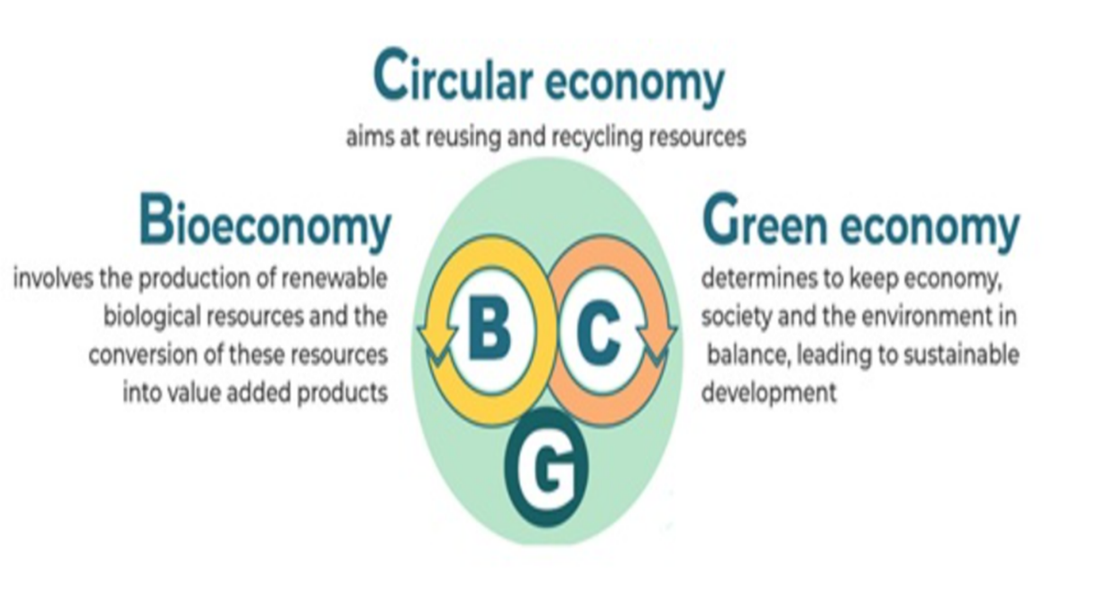 BCG_model concept_nstda.org.png