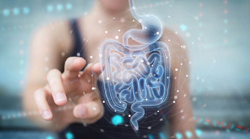 BENEO_Gut health_ü0ä8sdecoret_shutterstock - Copy.jpg